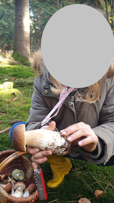 Pilze sammeln mit Kindern